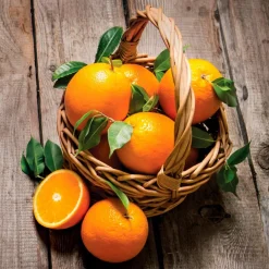 Wandbild 30 x 30 cm Fresh Oranges IV