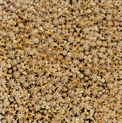 Wandbild 120 x 120 cm Gold Flower 39249