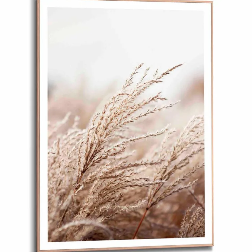 Wandbild 50 x 70 cm Gräser