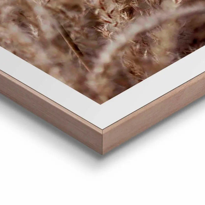 Wandbild 50 x 70 cm Gräser