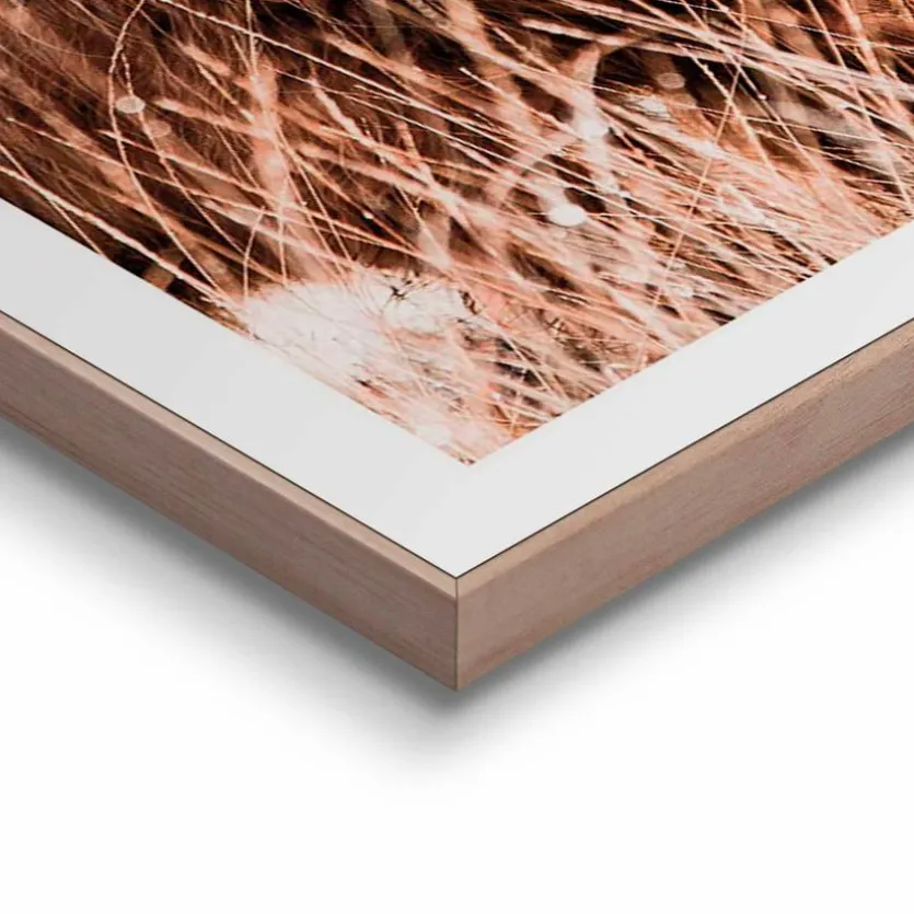 Wandbild 50 x 50 cm Highlander