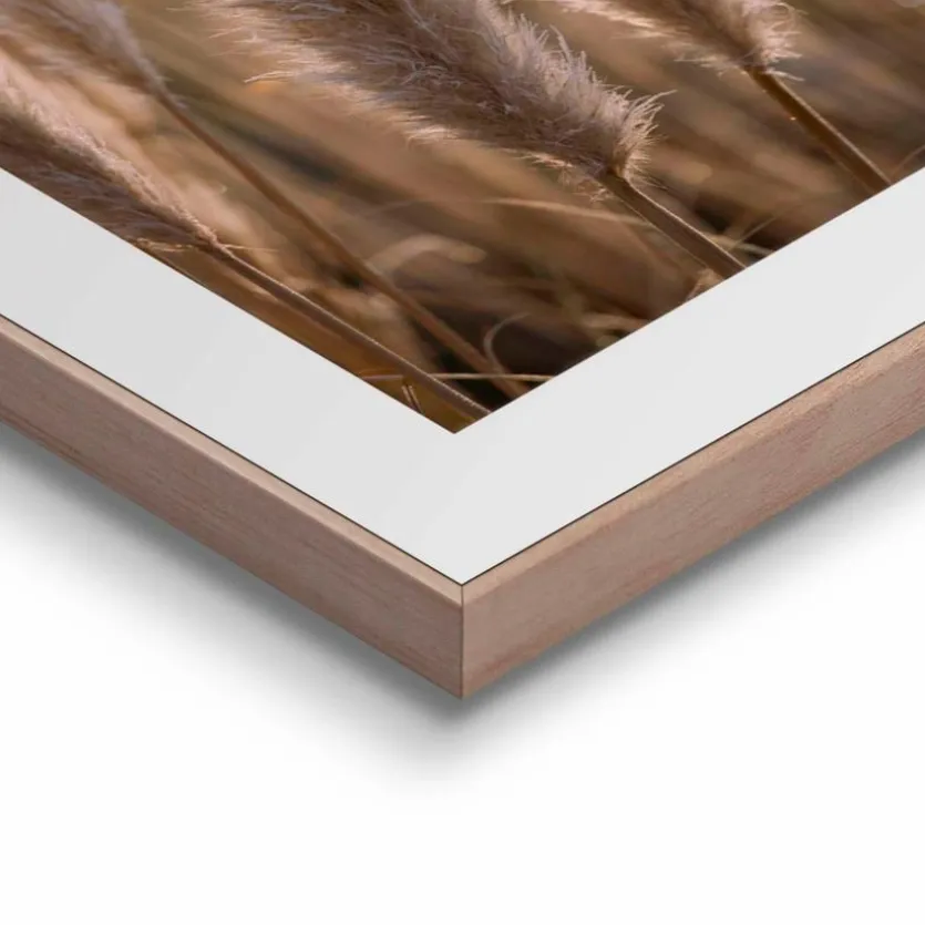 Wandbild 40 x 50 cm Pampas
