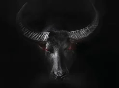 Wandbild 100 x 135 cm Black Taurus