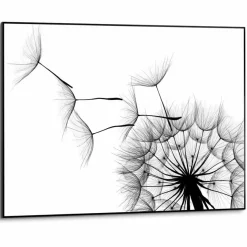 Wandbild 70 x 50 cm Dandelion