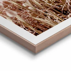 Wandbild 50 x 50 cm Dune Beach