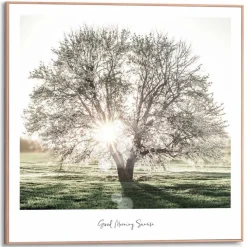 Wandbild 50 x 50 cm Morgensonne