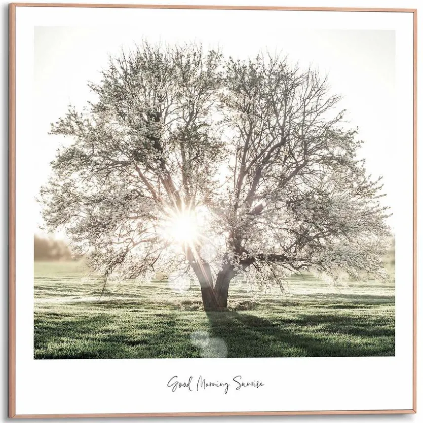 Wandbild 50 x 50 cm Morgensonne