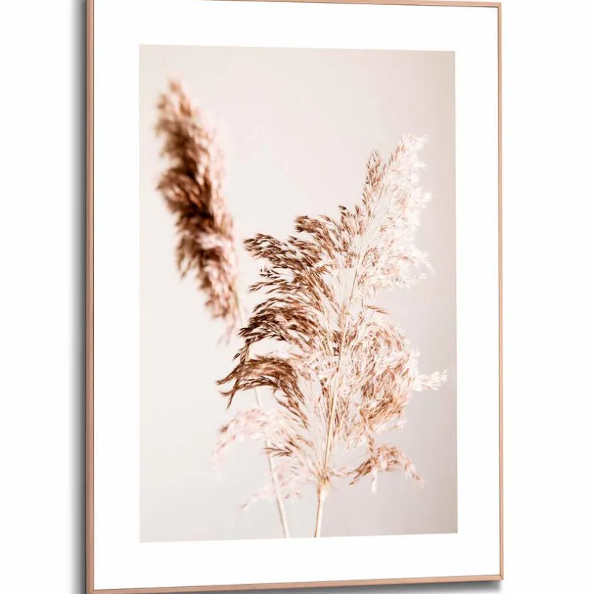 Wandbild 50 x 70 cm Pampasgras