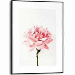 Wandbild 30 x 40 cm Pink Rose
