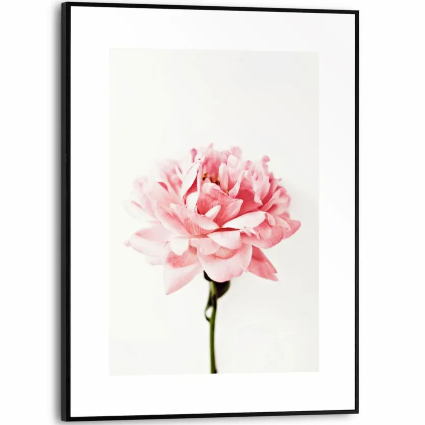Wandbild 30 x 40 cm Pink Rose