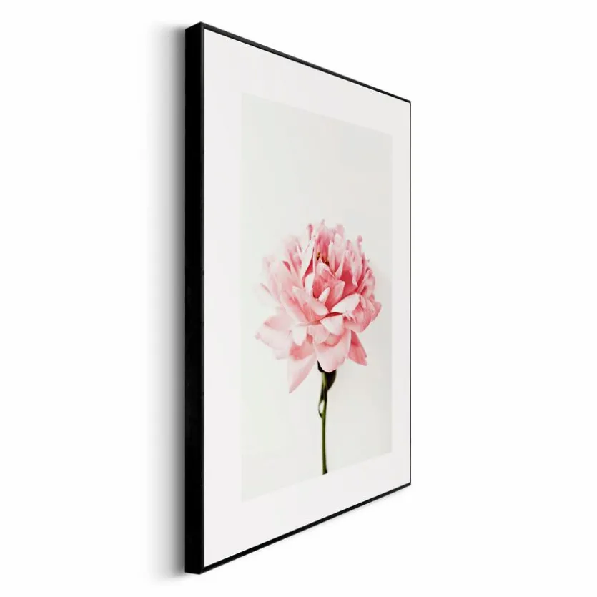 Wandbild 30 x 40 cm Pink Rose
