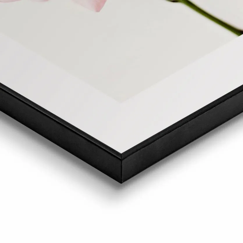 Wandbild 30 x 40 cm Pink Rose