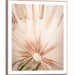 Wandbild 40 x 50 cm Pusteblume