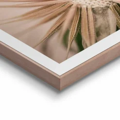 Wandbild 40 x 50 cm Pusteblume