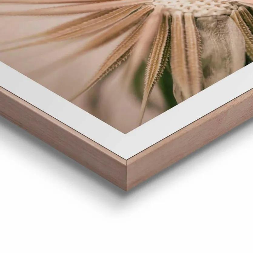 Wandbild 40 x 50 cm Pusteblume