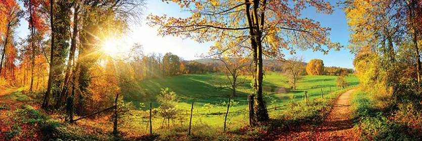 Wandbild 60 x 180 cm Romantic View