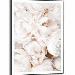 Wandbild 50 x 70 cm White Roses
