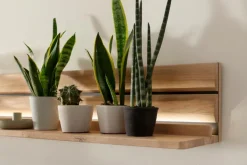 Wandboard Girona
