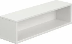 Wandbox Enie