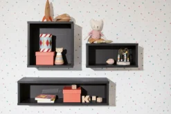Wandbox Tomke