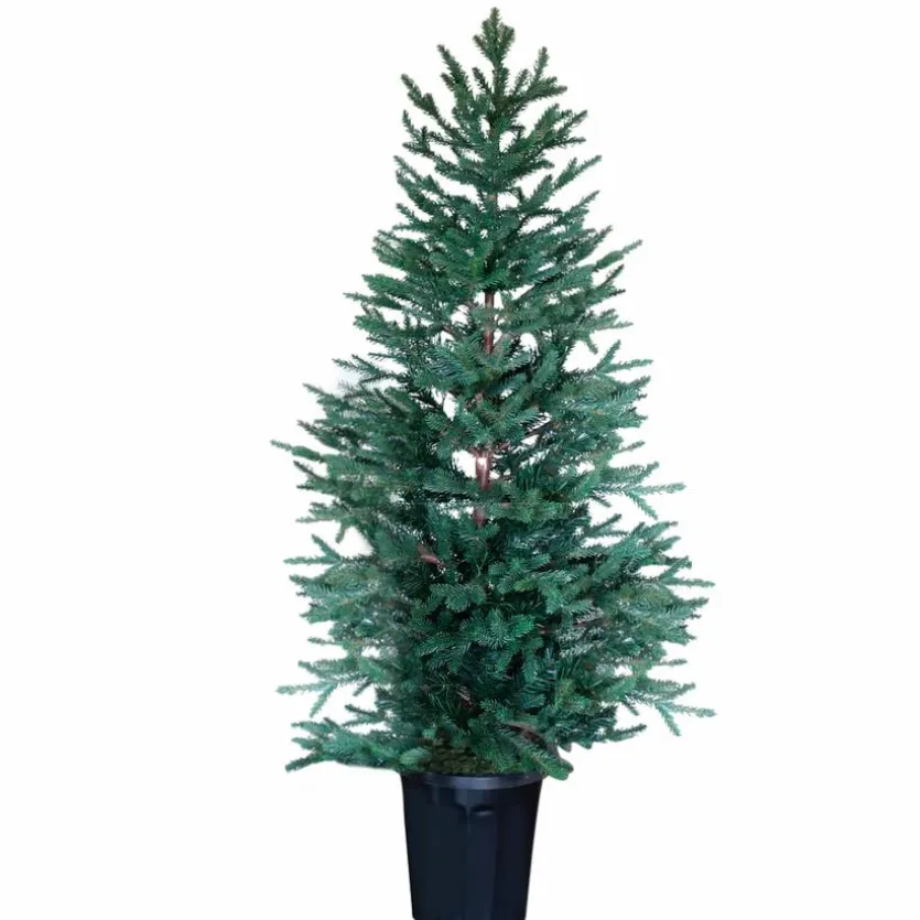 Weihnachtsbaum 90 cm