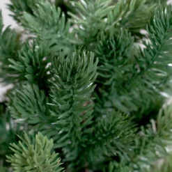 Weihnachtsbaum Tanne 48 cm