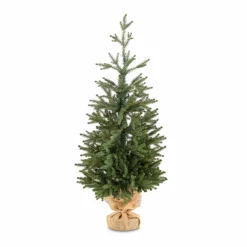 Weihnachtsbaum Zwergfichte 90 cm