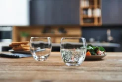 Whiskyglas Cheers 250 ml