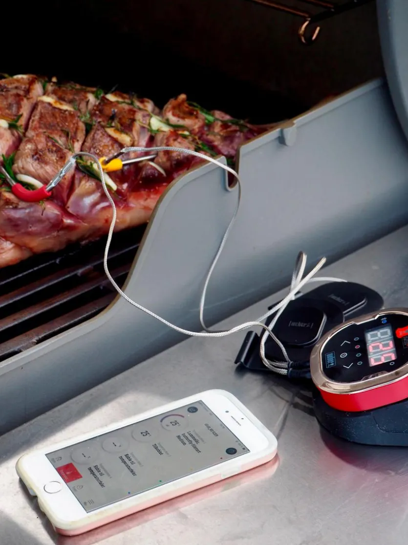 Zubehör IGrill