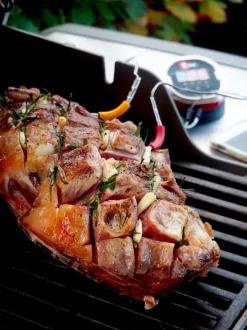 Zubehör IGrill
